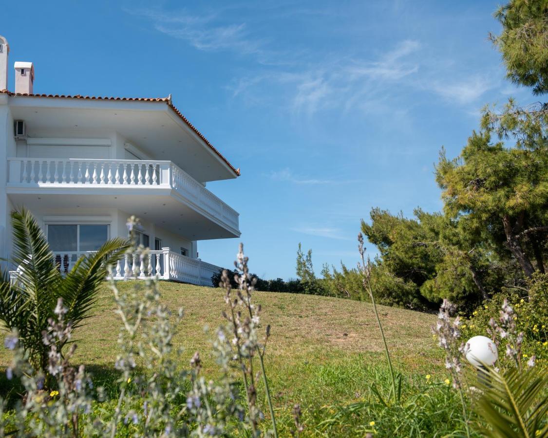 Sounio Golden View Villas Cap Cap Sounion Extérieur photo