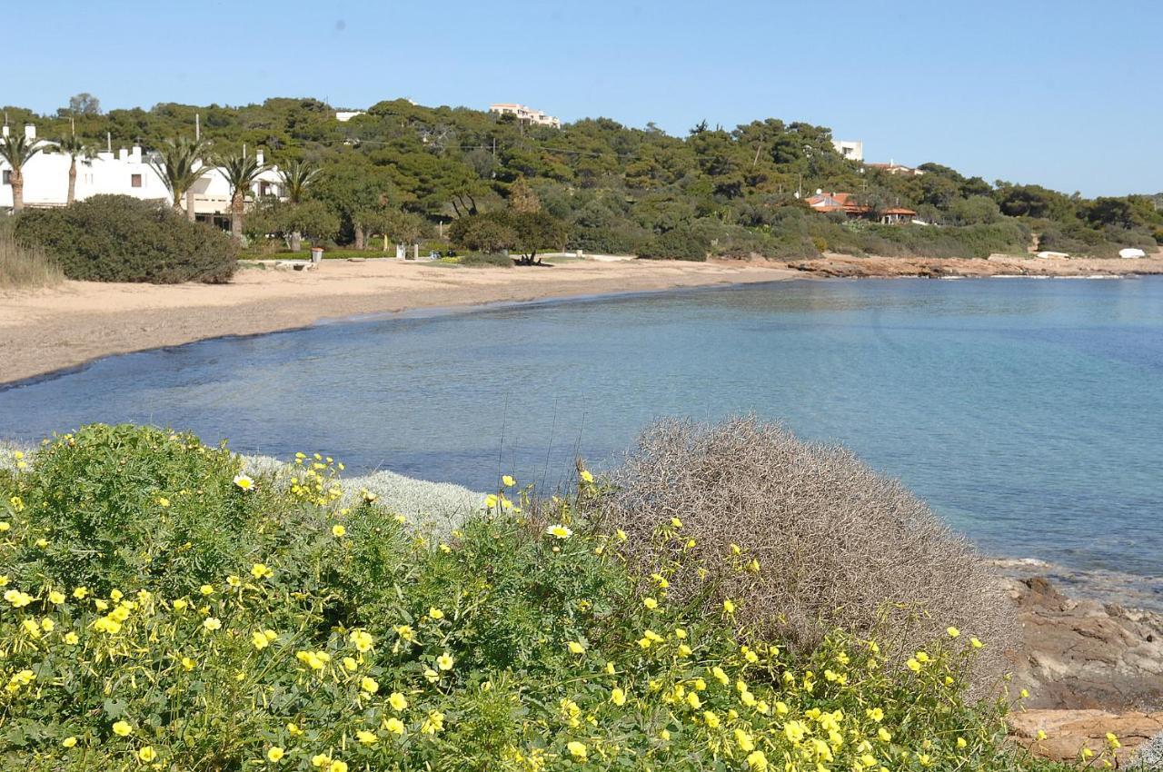 Sounio Golden View Villas Cap Cap Sounion Extérieur photo